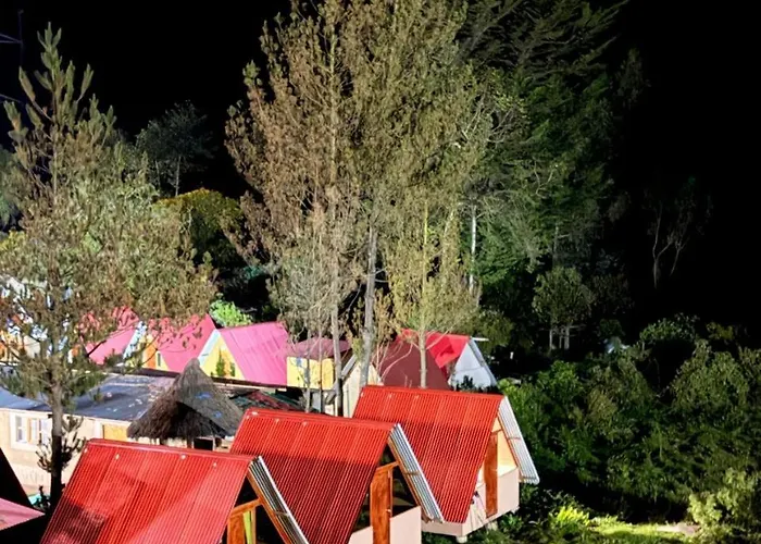 キャンプ場 Salkantay Glamp *